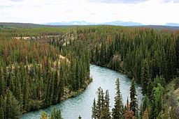 Chilko River httpsuploadwikimediaorgwikipediacommonsthu