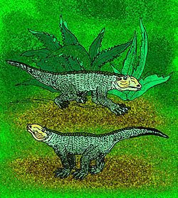 Chimaerasuchus httpsuploadwikimediaorgwikipediacommonsthu