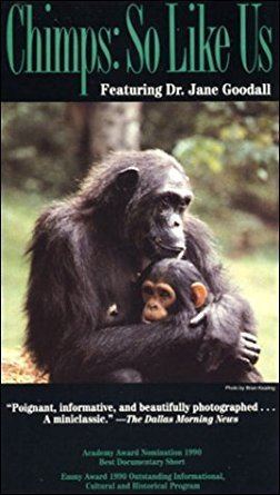 Chimps: So Like Us Amazoncom Chimps So Like Us VHS Karen Goodman Kirk Simon