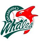 Chinatrust Whales httpsuploadwikimediaorgwikipediaeneeaChi