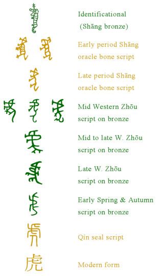 A chart showing the comparison between the Chinese character 虎 hu3 'tiger' from bronze inscriptions (in green) and other script forms