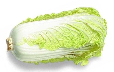 Chinese cabbage Chinese Cabbage Nutrients