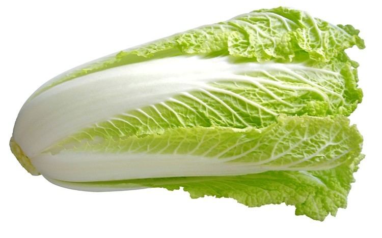 Chinese cabbage Chinese Cabbage Healing Properties and Recipe