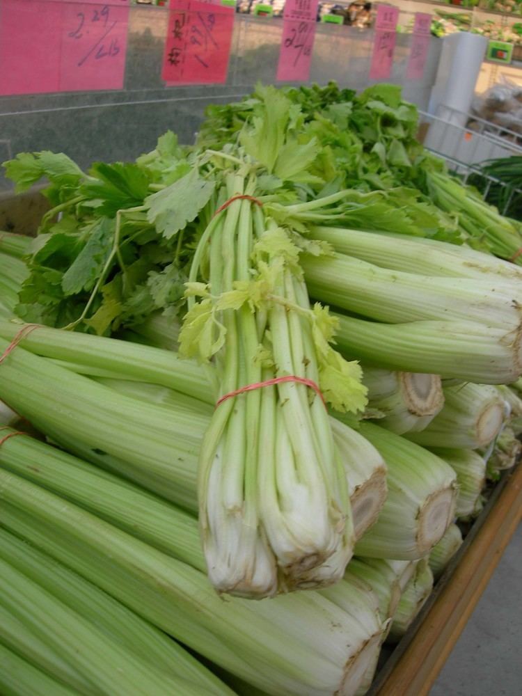 Chinese celery wwwflavorandfortunecompixf133picturesf133