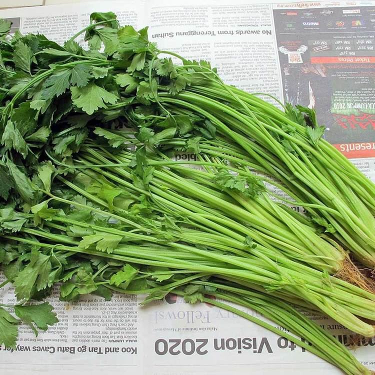 Chinese celery Australian Seed CELERY Chinese