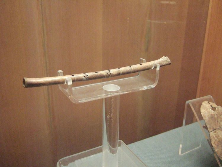 Chinese flutes