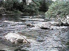 Chino Creek httpsuploadwikimediaorgwikipediacommonsthu