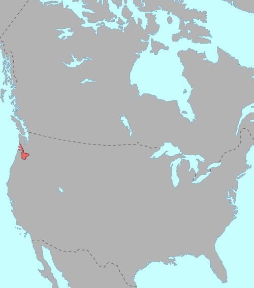 Chinookan languages