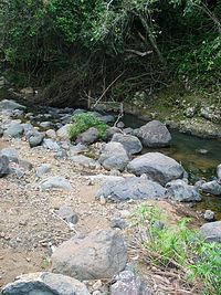 Chiquito River (Ponce, Puerto Rico) httpsuploadwikimediaorgwikipediacommonsthu