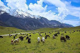 Chitral National Park Chitral National Park Wikipedia