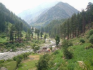 Chitral National Park Hindukush Trails gt Treks gt Chitral Gol Wild Life