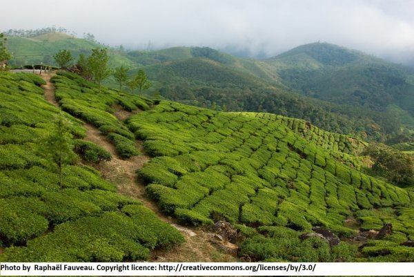 Chittagong Hill Tracts - Alchetron, The Free Social Encyclopedia