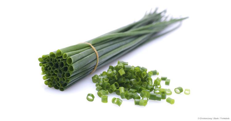 Chives What Are Chives Good For Mercolacom