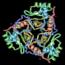 Chloramphenicol acetyltransferase httpsuploadwikimediaorgwikipediacommonsthu