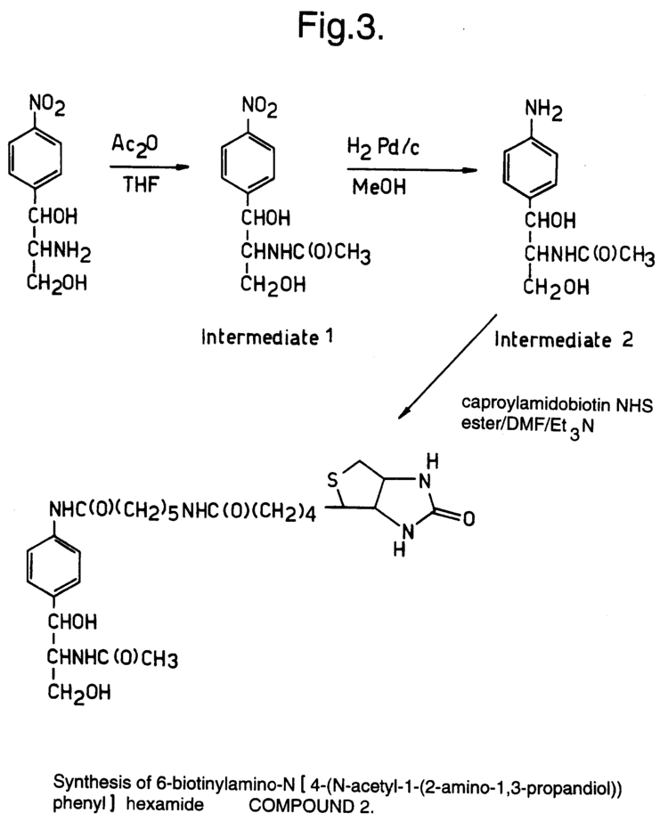 Chloramphenicol acetyltransferase Patent EP0656422B1 Chloramphenicol acetyl transferase CAT assay