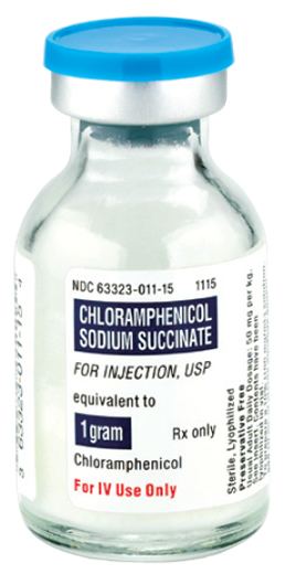 Chloramphenicol Chloramphenicol Cow