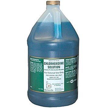 Chlorhexidine Amazoncom Chlorhexidine Solution gallon Pet Itch Remedies Pet