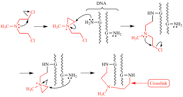 Chlormethine Illustrated Glossary of Organic Chemistry Mechlorethamine