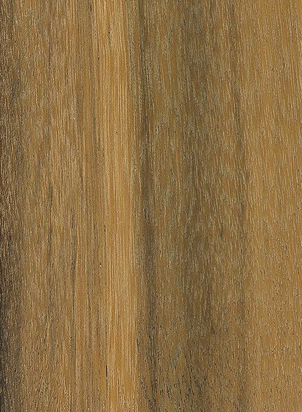 Chlorocardium rodiei Greenheart The Wood Database Lumber Identification Hardwood