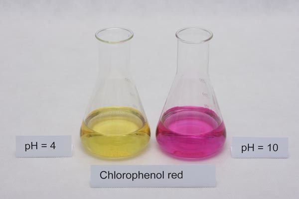 Chlorophenol red Acid base titration end point indicators preparation