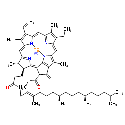 Chlorophyll a Chlorophyll a C55H72MgN4O5 ChemSpider