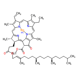 Chlorophyll a - Alchetron, The Free Social Encyclopedia