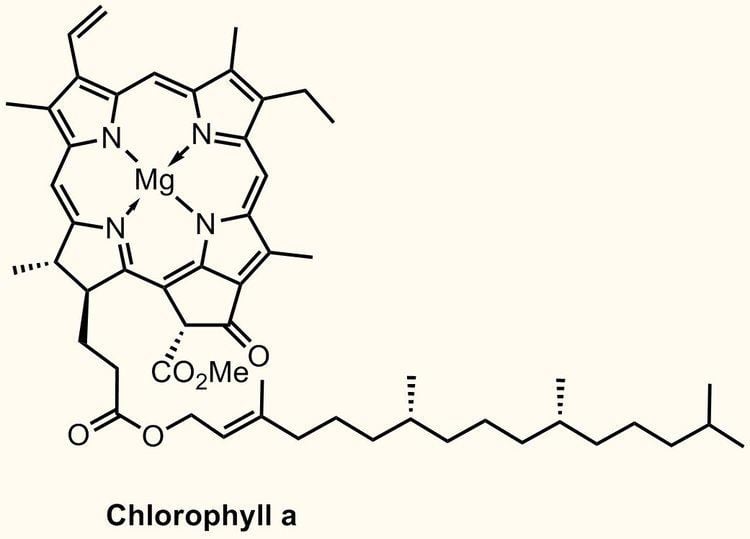 Chlorophyll a Woodward Wednesday 3 Chlorophyll a BRSM