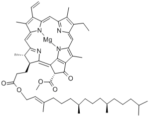 Chlorophyll a CHLOROPHYLL A 479618