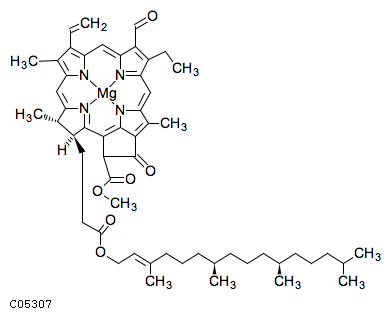 Chlorophyll b KEGG COMPOUND C05307