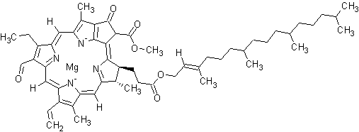 Chlorophyll B - Alchetron, The Free Social Encyclopedia