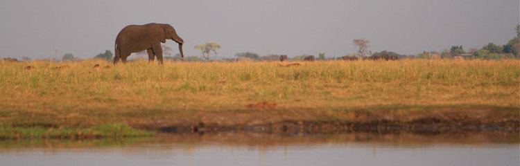 Chobe National Park in the past, History of Chobe National Park