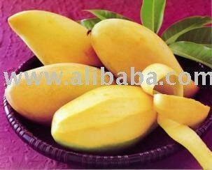 Chok anan Mango Chokanan productsMalaysia Mango Chokanan supplier