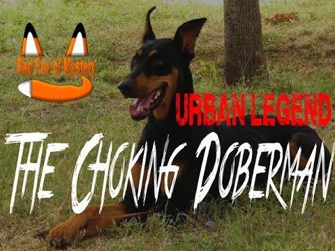 Choking Doberman The Choking Doberman Urban Legend YouTube