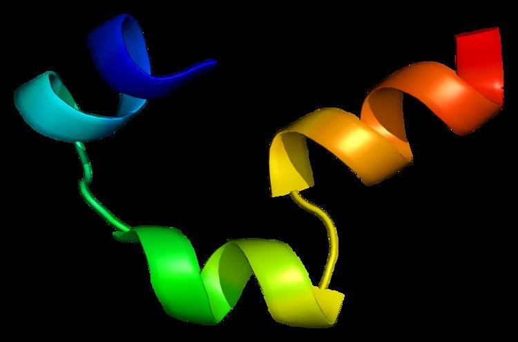 Cholecystokinin B receptor