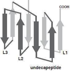 Cholesterol-dependent cytolysin