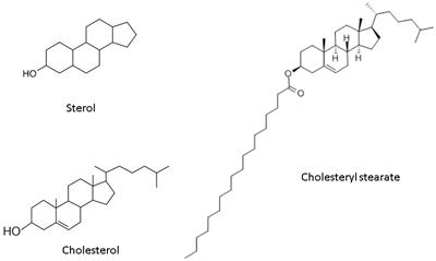 Cholesteryl ester Everything you need to know about cholesterol