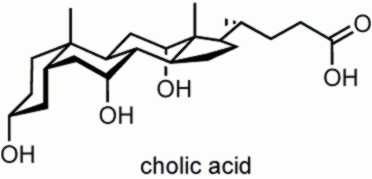 Cholic acid Davis Group Cholic Acid in Supramolecular Chemistry
