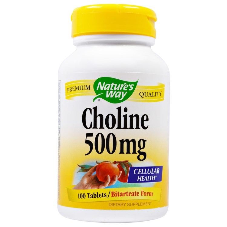 Choline Nature39s Way Choline 500 mg 100 Tablets iHerbcom