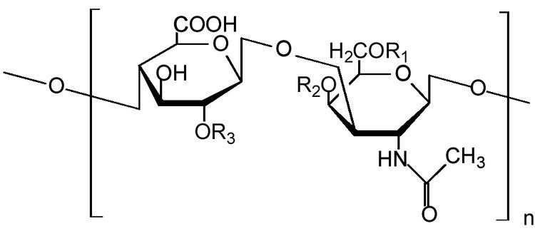 Chondroitin sulfate httpsuploadwikimediaorgwikipediacommonsee