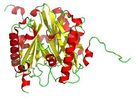 Chorismate mutase chemistryumechemaineeduCHY4311dbfjpg