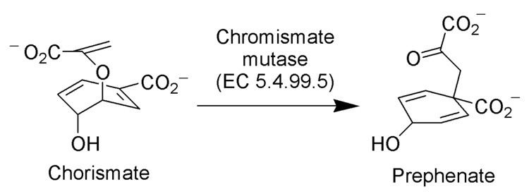 Chorismate mutase FileChorismate Mutase Schemepng Wikimedia Commons