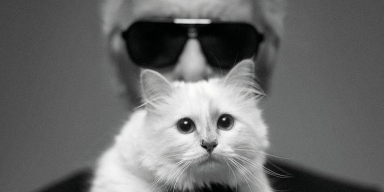 Choupette Choupette Lagerfeld Made 32 Million Last Year Plus More News