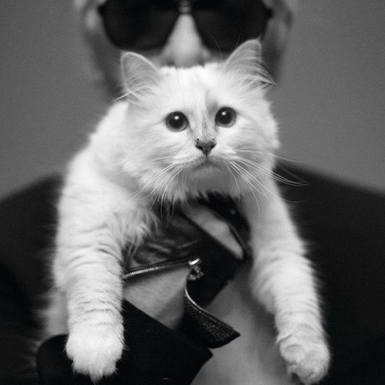 Choupette Karl Lagerfeld and his love for cat Choupette PetsPyjamas