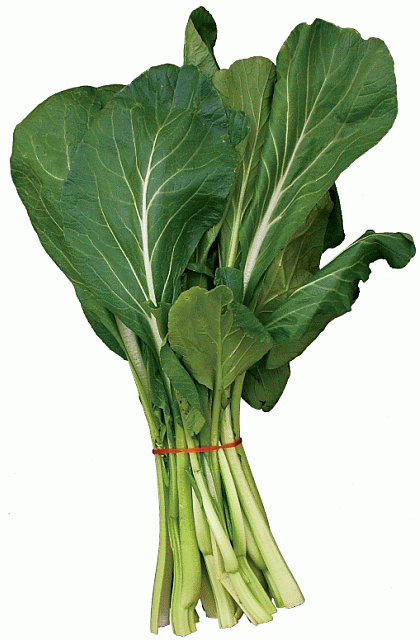 Choy sum Choi Sum is another leaf from the mustard family and very popular