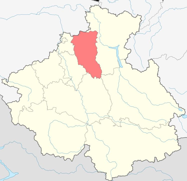 Choysky District