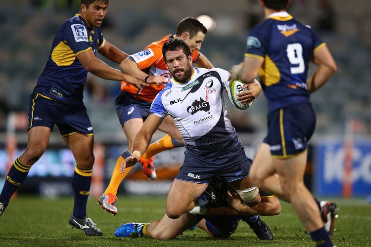 Chris Alcock Alcock wants to make his mark as Brumbies number seven Rugbycomau