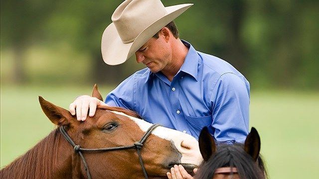Chris Cox (horse trainer) Chris Cox Horsemanship