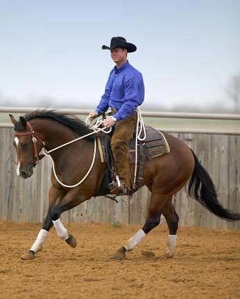 Chris Cox (horse trainer) 1000 images about Chris Cox on Pinterest