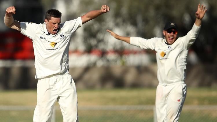 Chris Tremain (cricketer) Victorian star Chris Tremain chases Sheffield Shield glory after