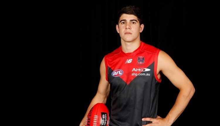 Christian Petracca Draft Survival Guide Christian Petracca AFL Players